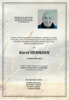 2Parte Hermann Karel