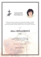 Parte Műllerová Alice_Bílovec