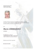 Parte Ambrožová Marie_Bílovec