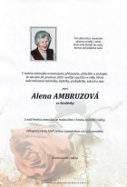 prosinec25_Parte Ambruzová Alena_Příbor