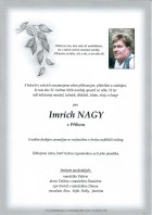 Parte Nagy Imrich_Příbor