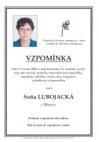 ilustrační foto